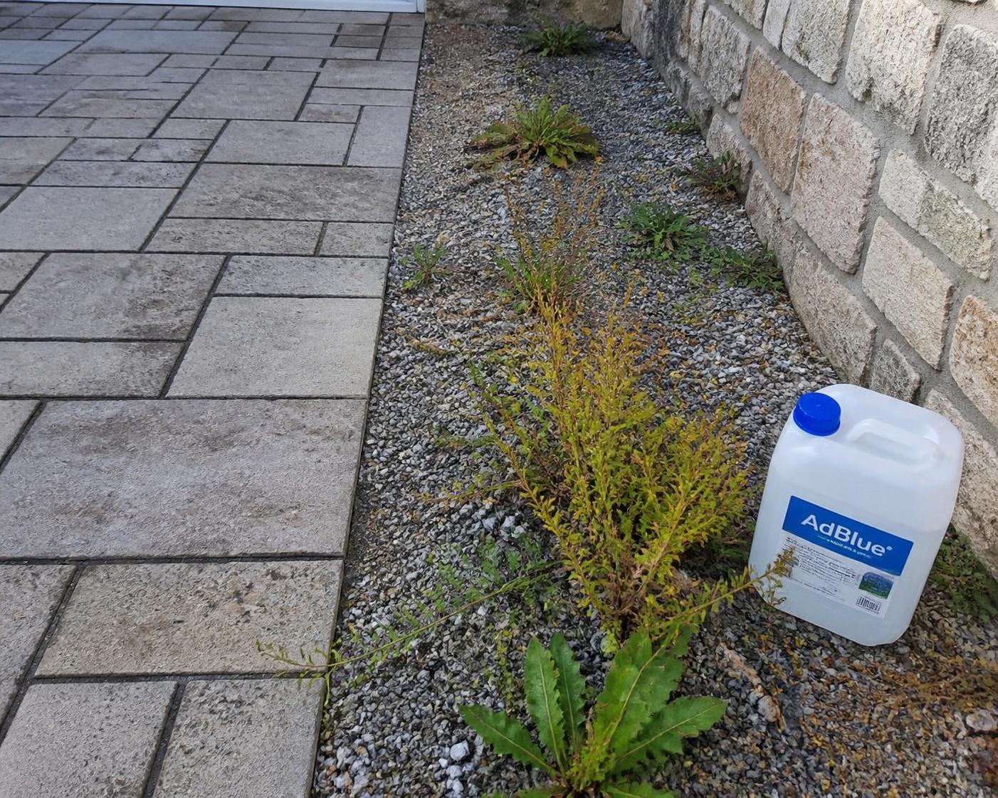 Adblue désherbant : idée reçue ou solution efficace pour vos allées et terrasses ? 2 découvrez si l'adblue désherbant est une idée reçue ou une solution efficace pour éliminer les mauvaises herbes de vos allées et terrasses. analyse complète et conseils pratiques.