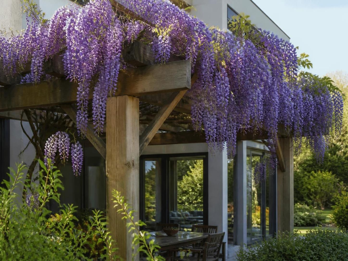 Le calendrier idéal pour tailler votre glycine sans compromettre sa floraison 2 découvrez le calendrier parfait pour tailler votre glycine au bon moment et garantir une floraison abondante chaque année.