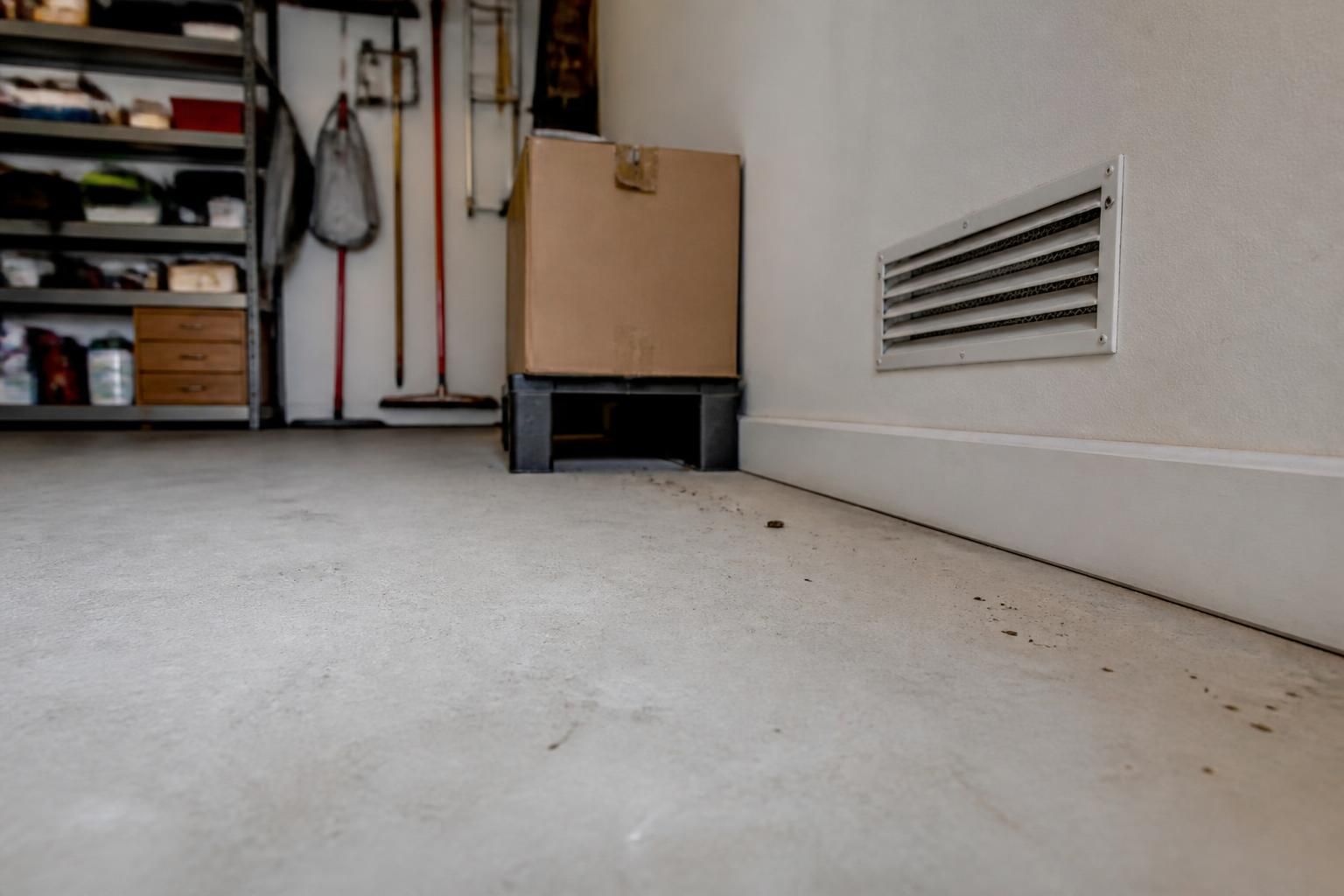 Débusquer un rat sans poison : stratégies efficaces pour le faire sortir de sa cachette et protéger votre maison 2 découvrez des méthodes sûres et efficaces pour débusquer un rat sans utiliser de poison, afin de le faire sortir de sa cachette et protéger votre maison naturellement.