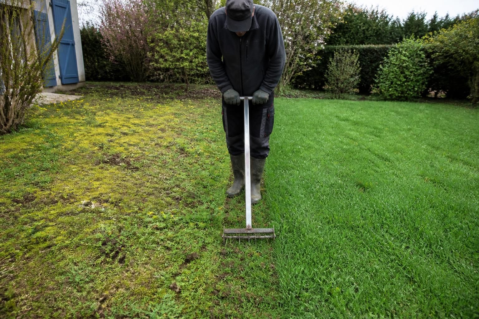 découvrez les 5 étapes clés pour transformer une pelouse envahie par les mauvaises herbes en un tapis vert luxuriant. suivez notre plan de reprise simple et efficace pour retrouver une pelouse impeccable.